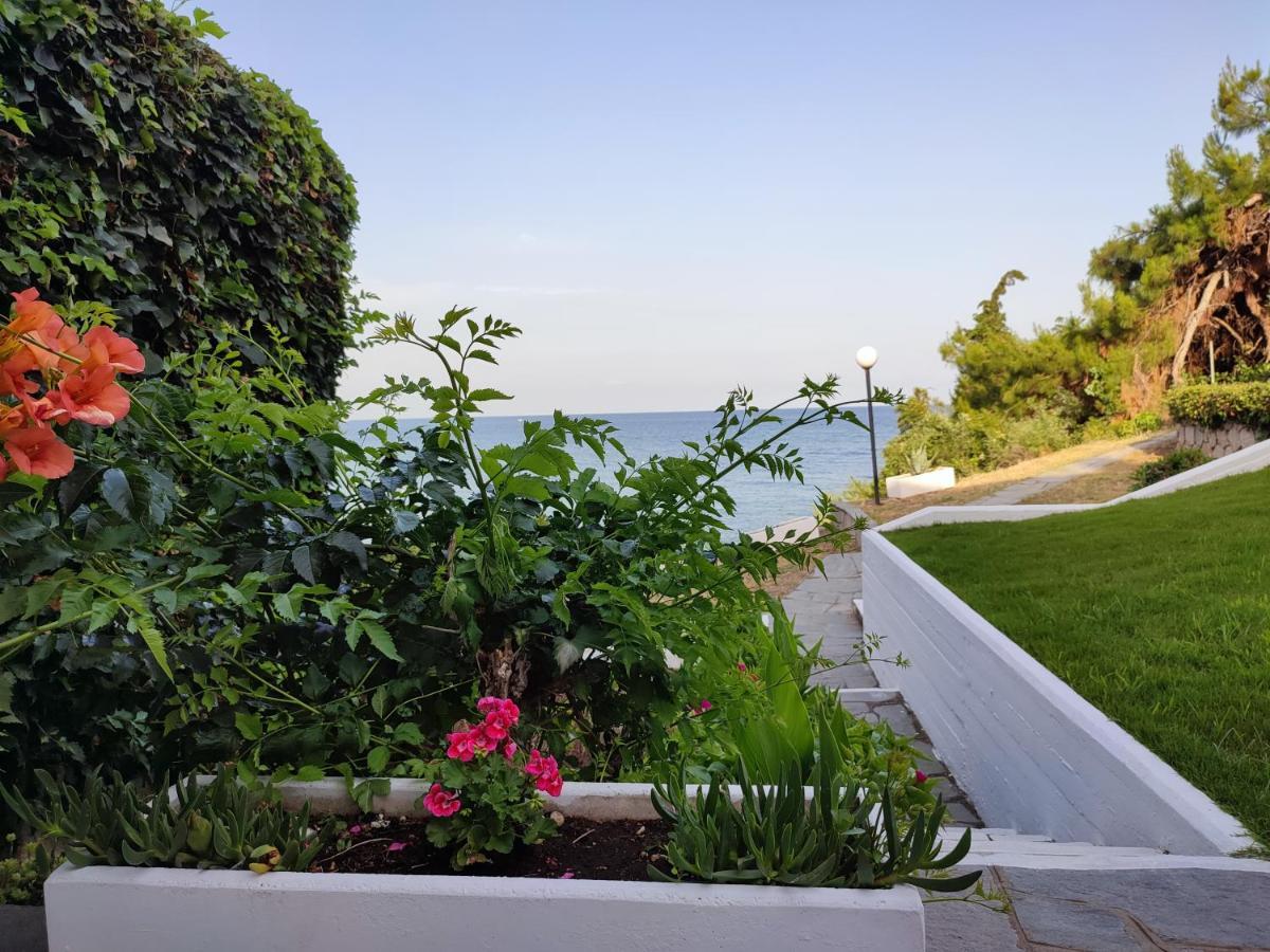 Beach House Emme Palaiontsiflikion Exterior photo